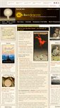 Mobile Screenshot of beinkandescent.com